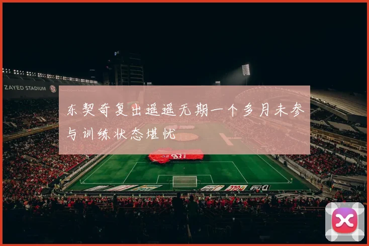 东契奇复出遥遥无期一个多月未参与训练状态堪忧