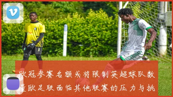 欧冠参赛名额或将限制英超球队数量欧足联面临其他联赛的压力与挑战